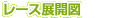 レースラップ/展開情報