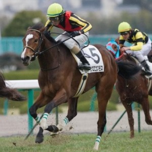 2008_12_28 阪神7R 500万下
