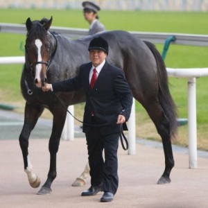 メイクデビュー東京　新馬戦