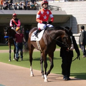 2009年2月14日東京7R 500万下