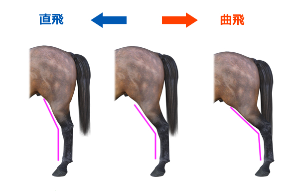 馬の歩きを見るプロ・佐藤駿さんに聞く走る馬の見分け方 【馬体の見か