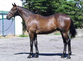 カツンダモンの2024