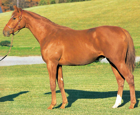 ロードプラチナム 募集カタログ1