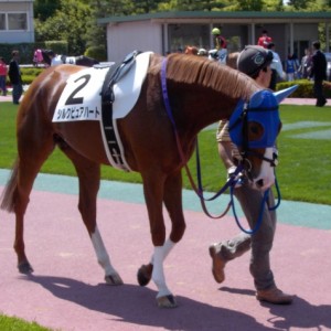 ５／２１中京競馬場