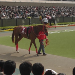 フローラステークス