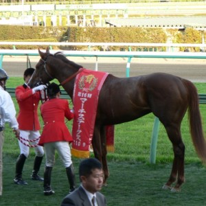 ぼく勝ちました