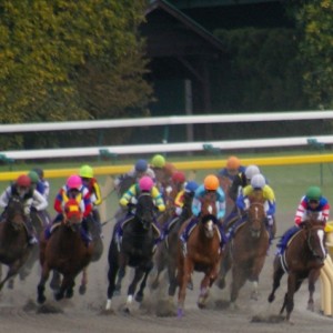 09フェブラリーＳ