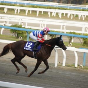 JBCスプリント　返し馬