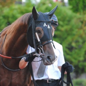 パドック騎乗前