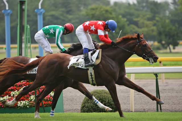 2008/07/19 新潟２Ｒ ３歳未勝利 ロックバルーン