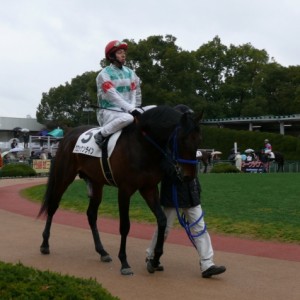 京都パドック