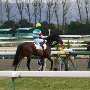 京都競馬場