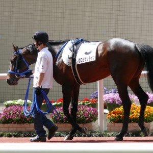 阪神パドック