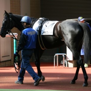 2009.11.22　福島５Ｒ