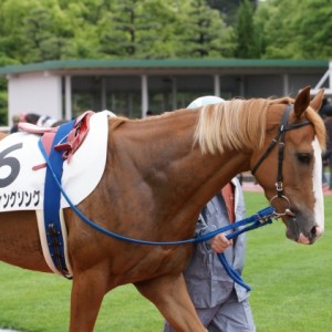 ５月２５日　中京１R　３歳未勝利