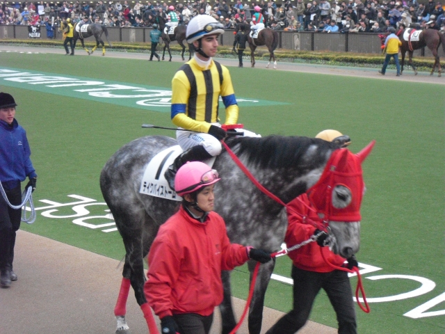 ２月６日　東京競馬場パドック テイクバイストーム