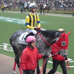 ２月６日　東京競馬場パドック