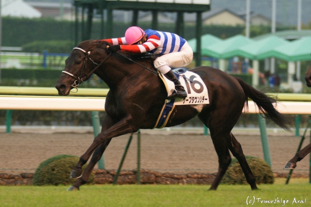 3勝目！ ケープタウンシチー