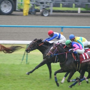 京都新聞杯