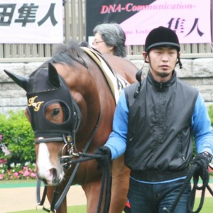 2008年4月27日　東京ＲＣ　パドック