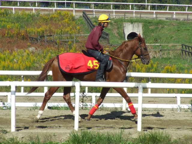 天栄ホースパーク シルクローリット
