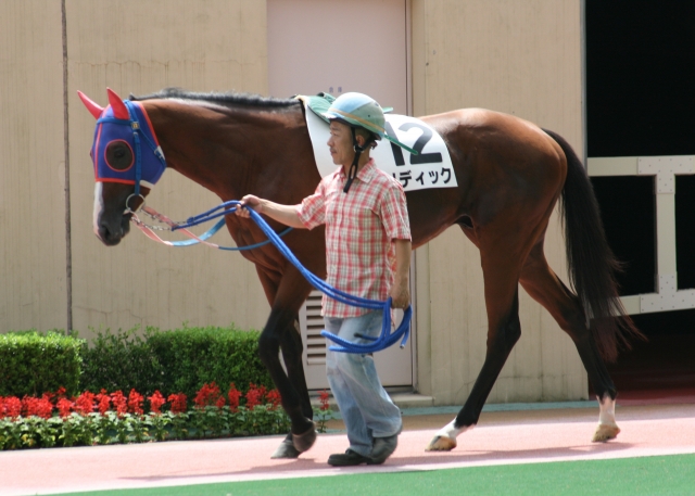 第２回小倉競馬第１日２Ｒ リディック