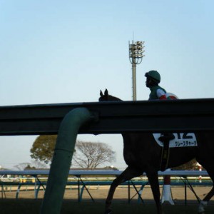 2010/01/09_4歳上500万下本馬場入場その3