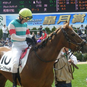 2010/04/03_4歳上500万下パドックその2