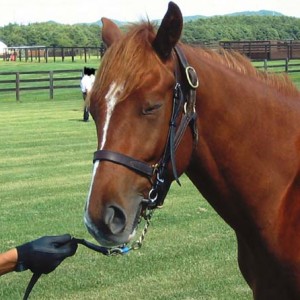 見学ツアーより