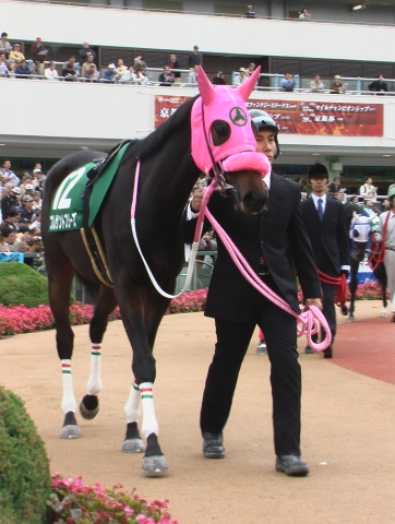 ファンタジーステークスのパドック プレザントブリーズ