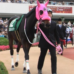 ファンタジーステークスのパドック