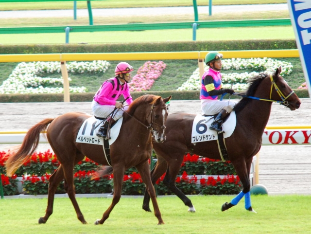 10/19東京競馬・新馬戦馬場入り ベルベットロード