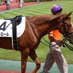 2008/08/09 新潟６Ｒ ２歳新馬