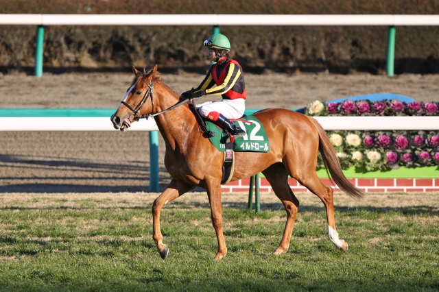 2009/01/11 中山11R フェアリーＳ イルドロール