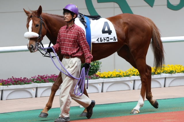 2009/11/15 福島４Ｒ ３歳上500万下 イルドロール