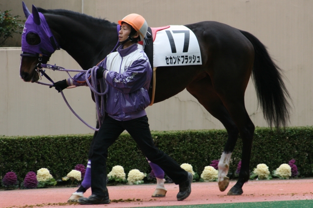 ２００９年２月２８日小倉３Ｒ セカンドフラッシュ
