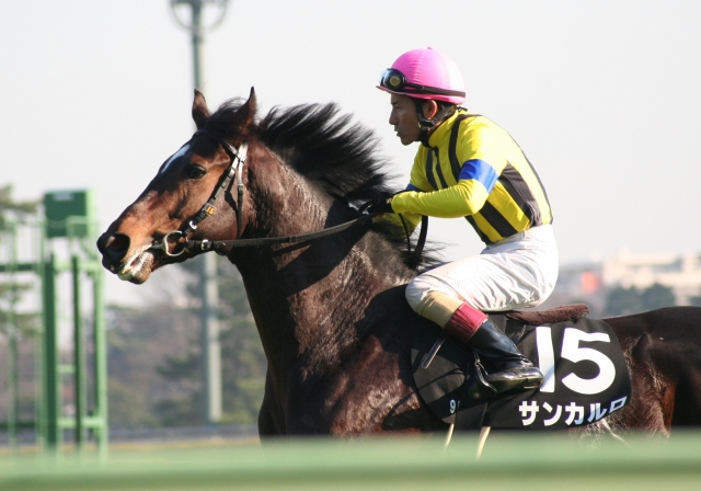 ひいらぎ賞　いざ返し馬へ サンカルロ