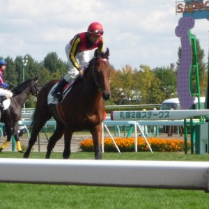 10月5日初勝利の日の返し馬