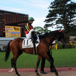 京都12R1000万パドック