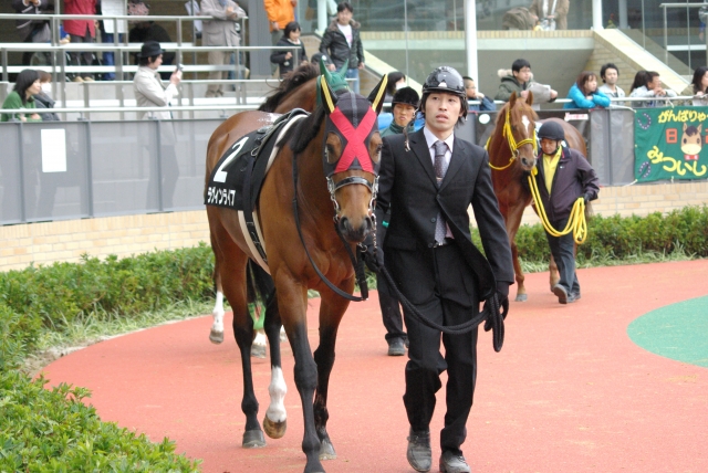 中京スポニチ賞のパドック ラヴィンライフ