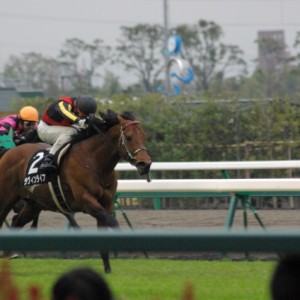 中京スポニチ賞のゴール前