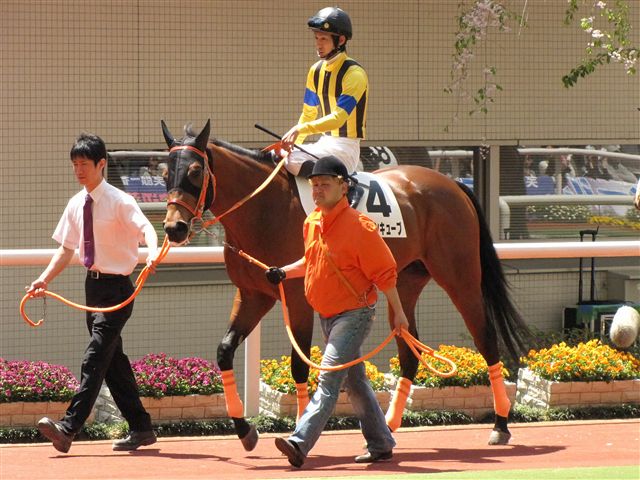 2009/4/11　3歳未勝利 ゴールデンキューブ