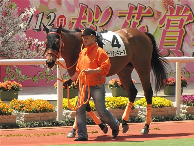 2009/4/11　3歳未勝利 ゴールデンキューブ