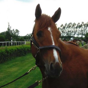 見学ツアーより