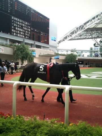 小豆島特別 ホーカーハリケーン