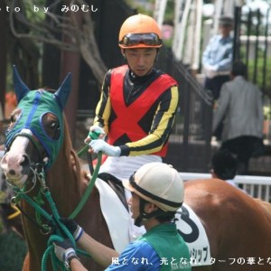 ２０１０．０８．０７新潟８Ｒ　２戦目のパドック（その３）