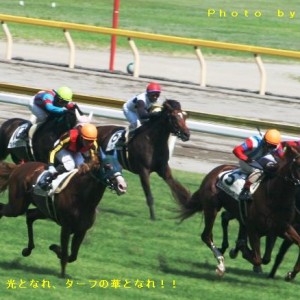 ２戦目の最後の直線