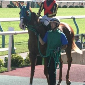 ３戦目の本馬場入場