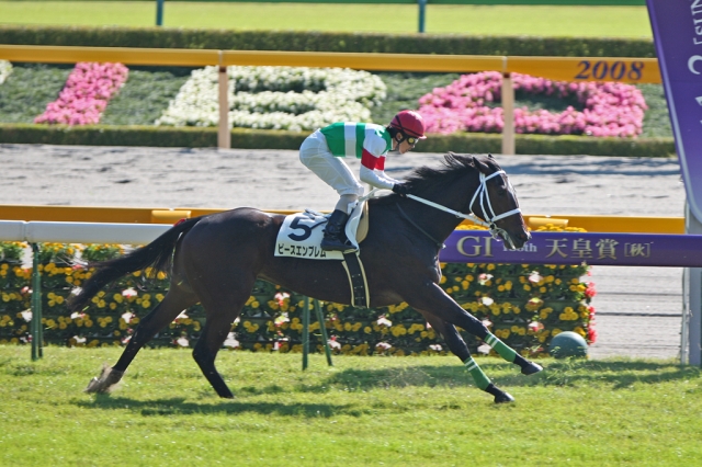2008/11/01 東京５Ｒ ２歳新馬 ピースエンブレム