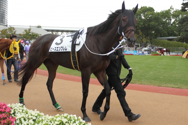 2010/10/30 京都７Ｒ ３歳上500万下 ピースエンブレム